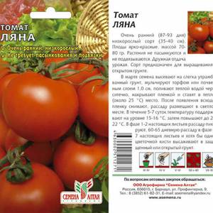 Помидор ляна-сажаем на дачу