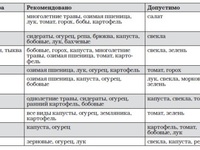 Какую культуру посадить после лука