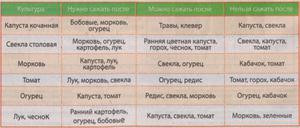 Что посадить после лука