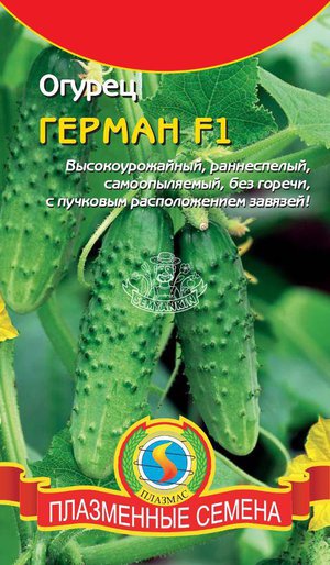 Выращивание огурцов Герман F