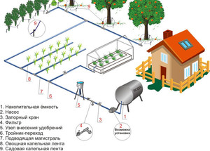 План системы капельного полива