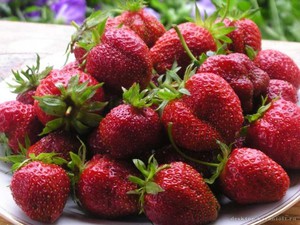 Удобрение кустов клубники дрожжами