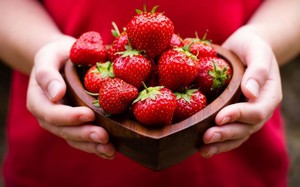 Дрожжи для повышения урожая клубники