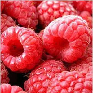 Малина вкусная