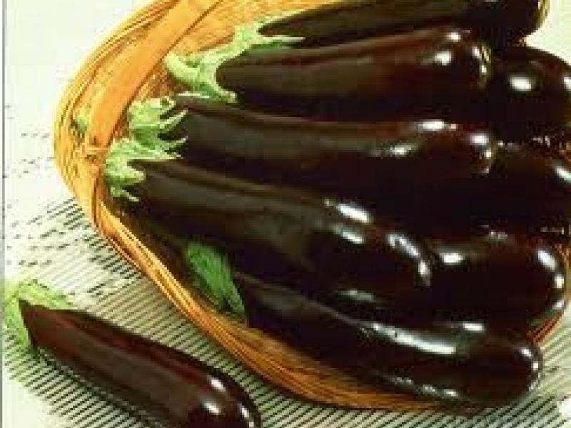 Урожай фиолетовых баклажан Урожай фиолетовых баклажан для закатки