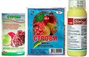 Правила применения фунгицидов