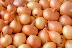 Лук Стурон