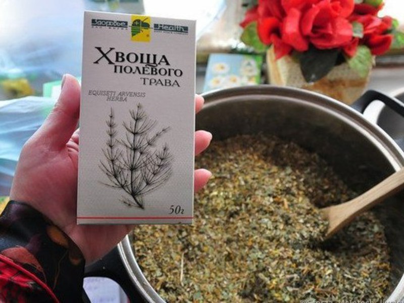 Настойка хвоща Настойка хвоща для лечения груш