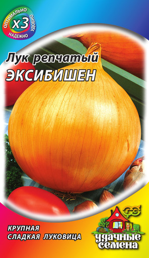 Как вырастить сорт лука