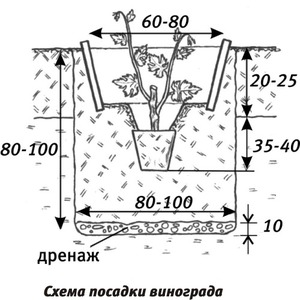 Схема правильной посадки