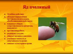 Своййства пчелиного яда