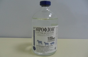 Препарат энрофлорон для птиц