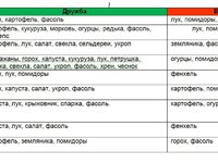 Как вырастить разные культуры