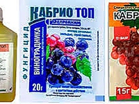 Фунгицид кабрио - особенности препарата