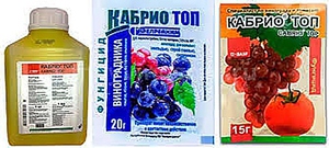 Фунгицид кабрио - особенности препарата