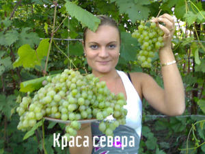 В чем плюсы выращивания