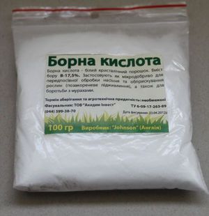 Опрыскивание помидоров