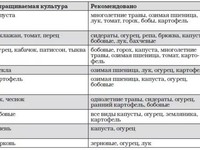 Как правильно сажать культуры по очереди