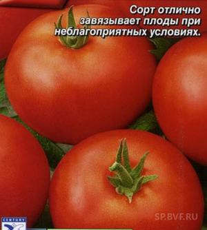 Описание сорта томата