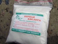 Чем подкормить клубнику