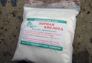 Чем подкормить клубнику