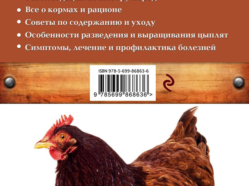 Мясояичные породы кур Мясояичные породы кур - краткий обзор