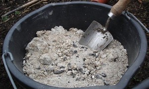 Удобряем золой морковь