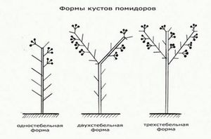 Виды форм проведения пасынкования