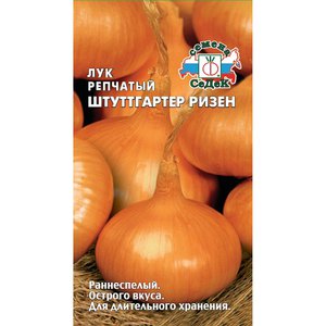 Как собрать урожай лука Штутгартер 