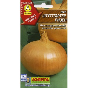 Описание сорта лука Штутгартер 