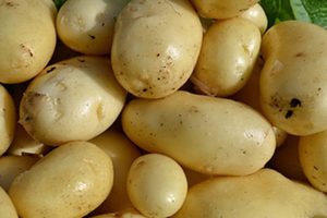 Картофель  Импала